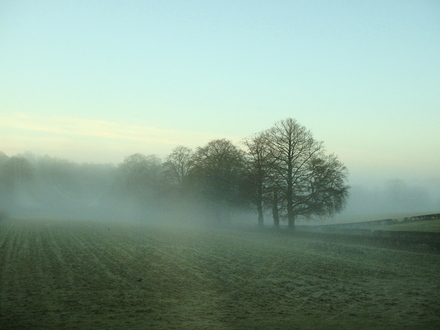 Misty_morning